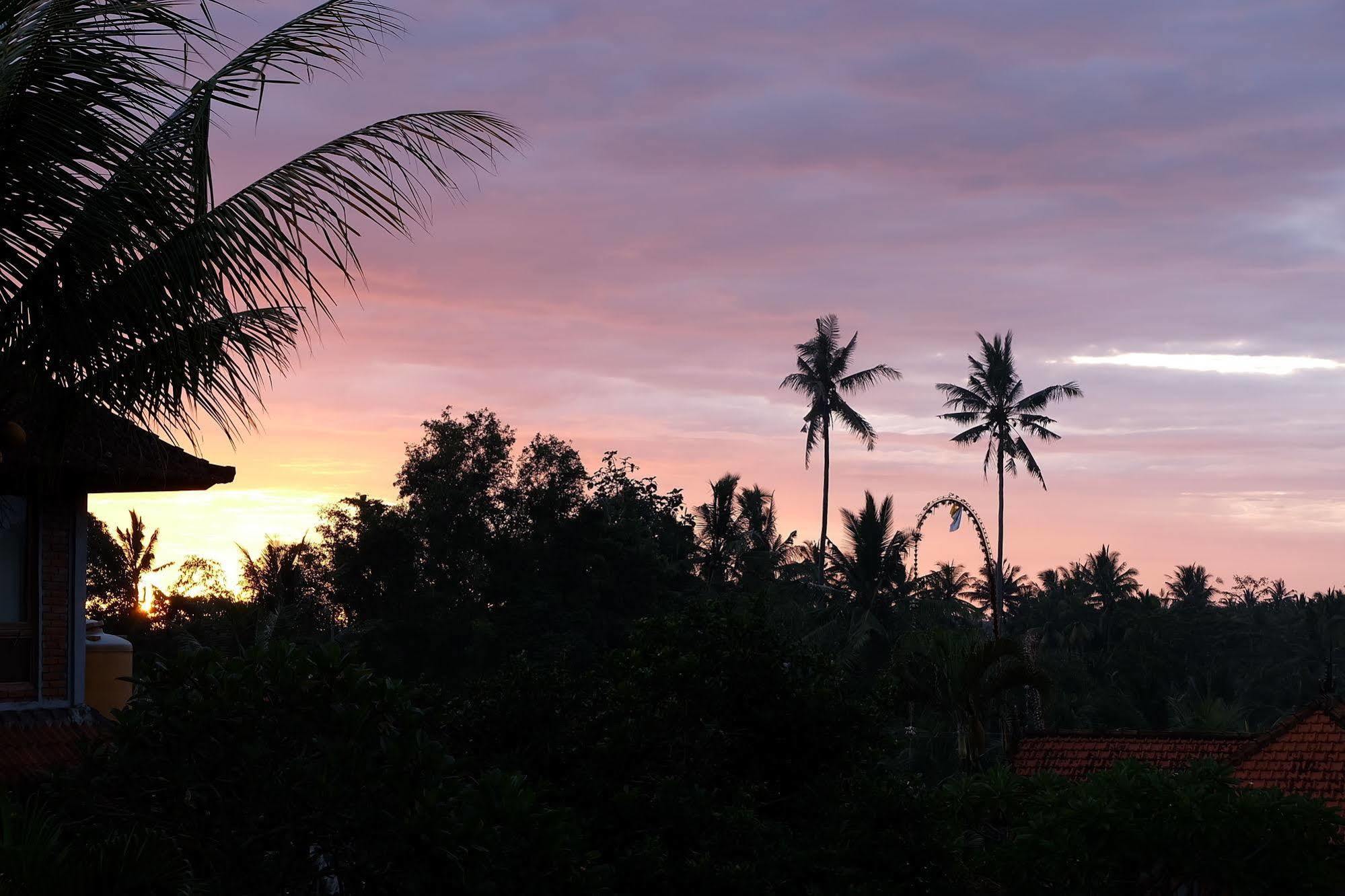 Ketut'S Place Bed & Breakfast Ubud Eksteriør billede